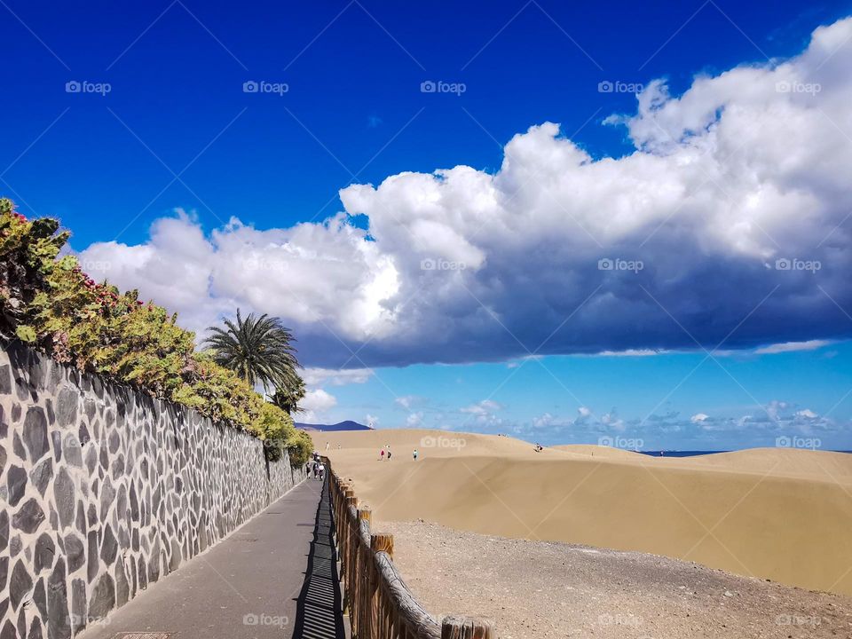 The view of the Dunes The Maspalomas at Gran Canaria.