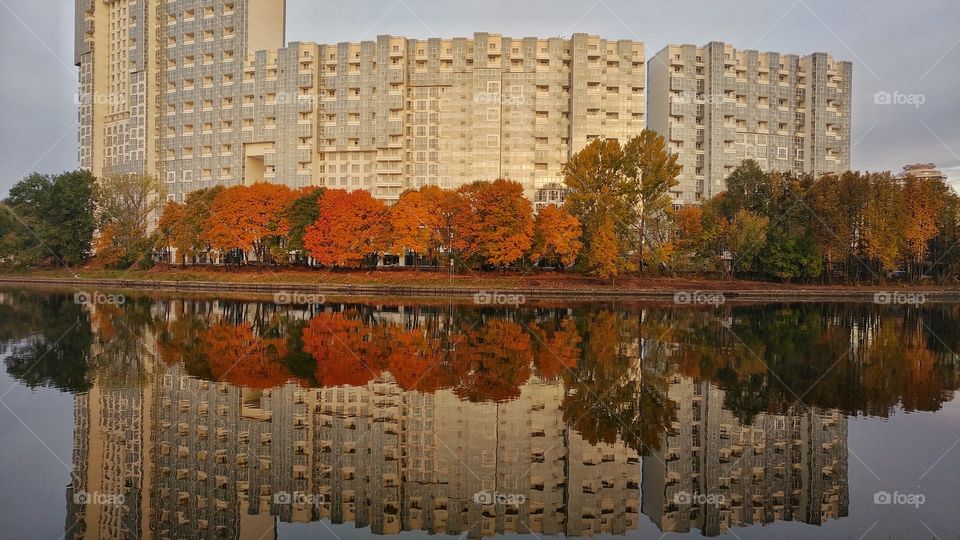 Fall house. 