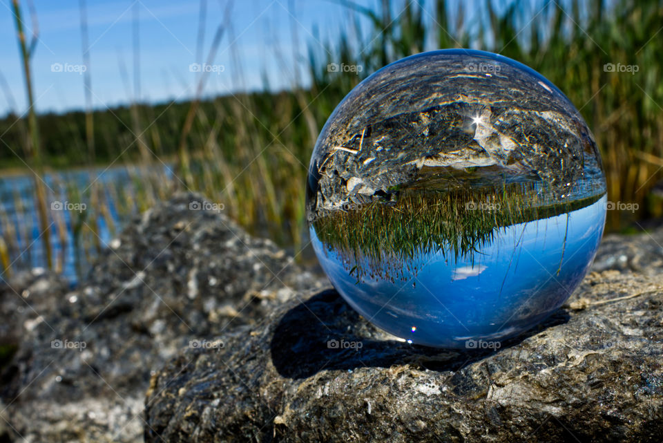 Lensball Schilf