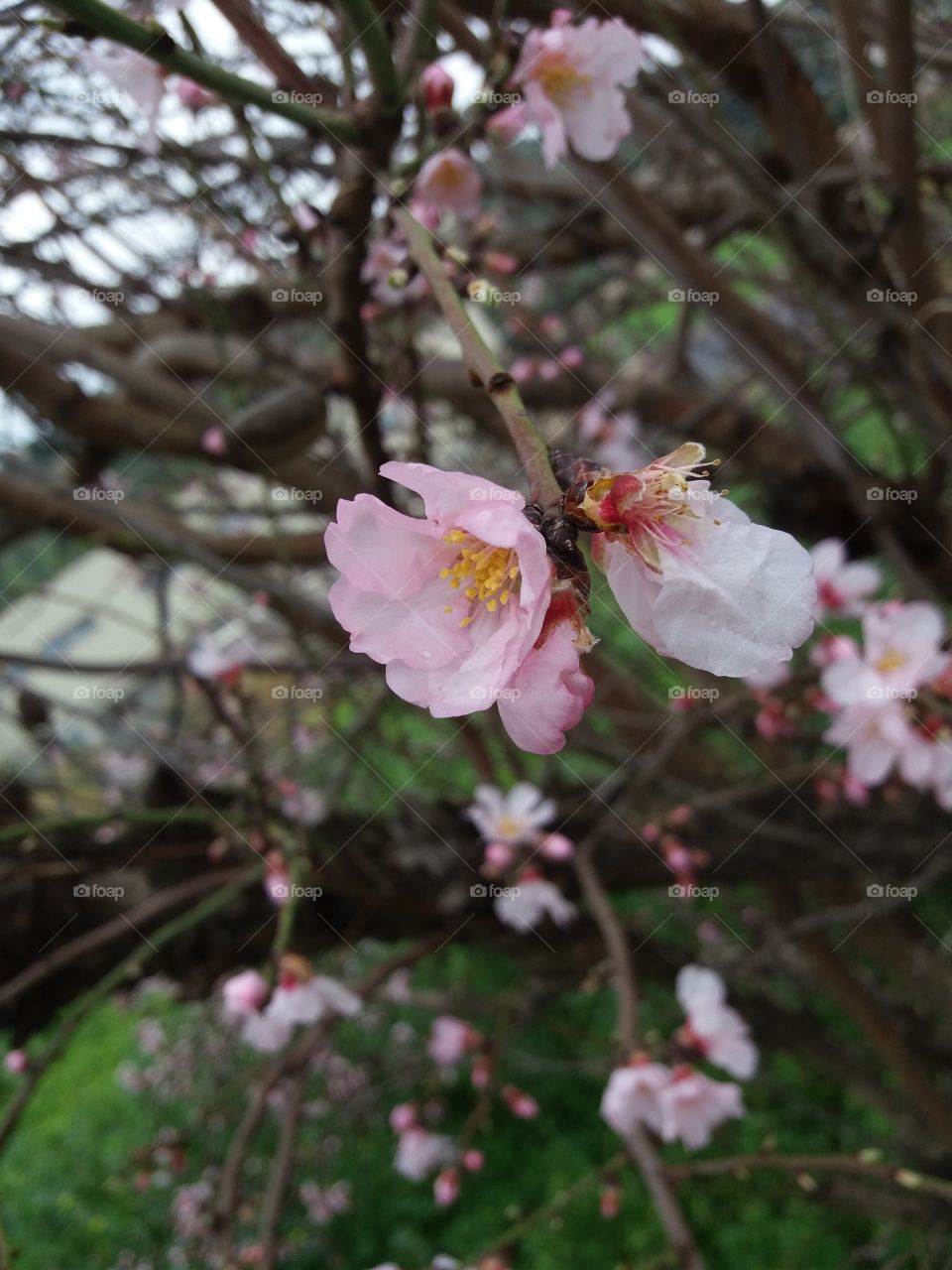 Look how beautiful the nature can be.