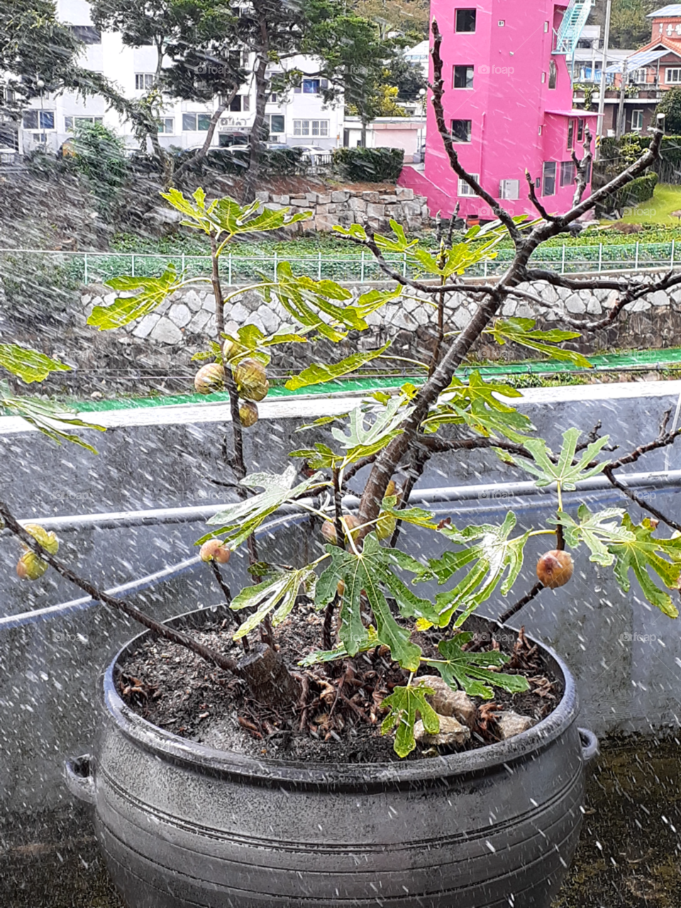 rain with strong wind