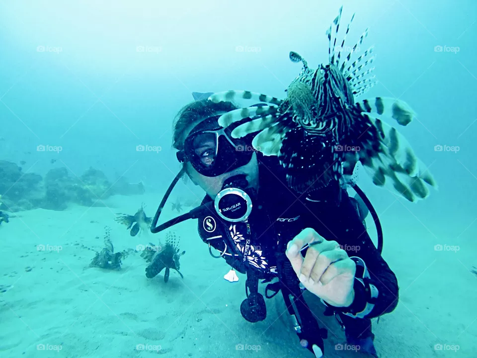 Diving