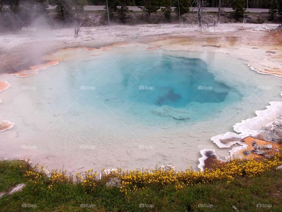 Colorful hot springs at Yellowstone National Park 