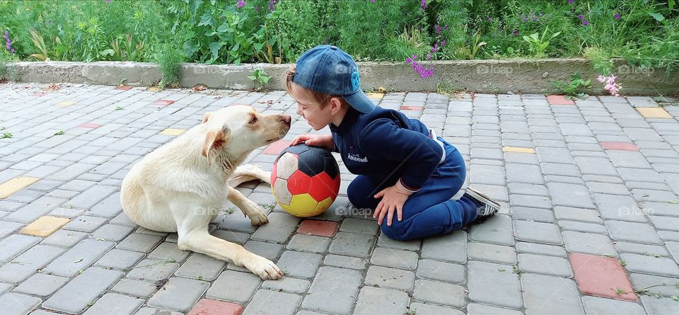 little boy looking at the dog