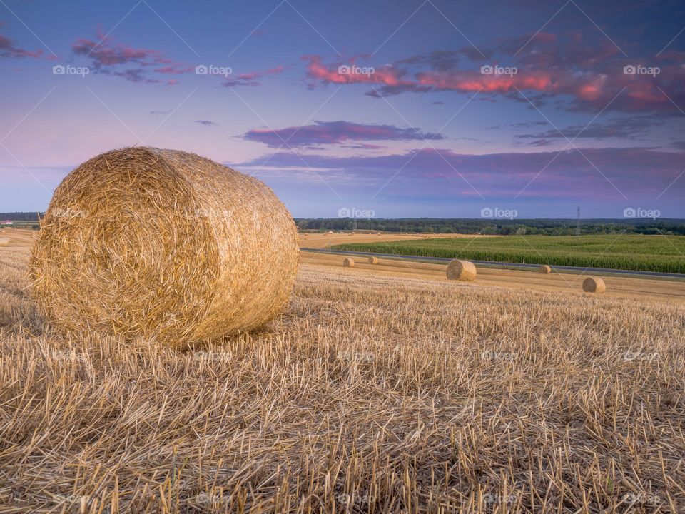 Osieczna, Leszno, Poland