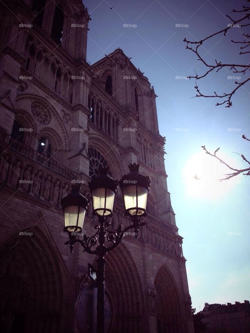 Valentines in Paris.