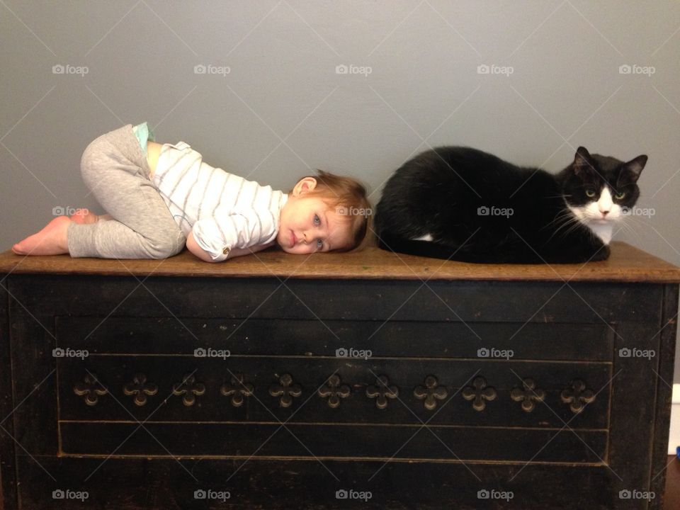 Small child and cat