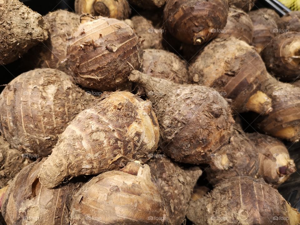 Close-up of many Taro.