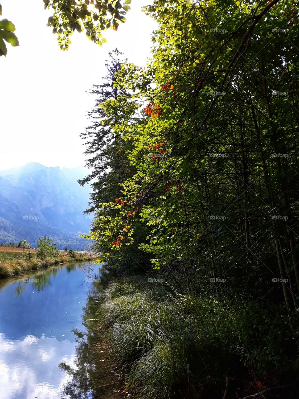 Reflection of nature