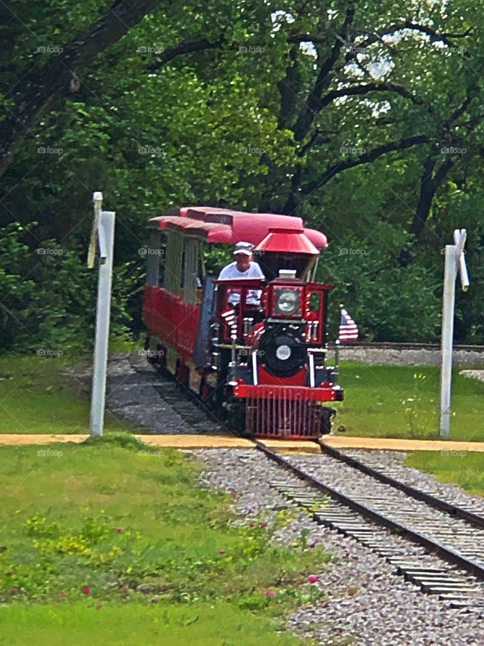 Train at Watson park