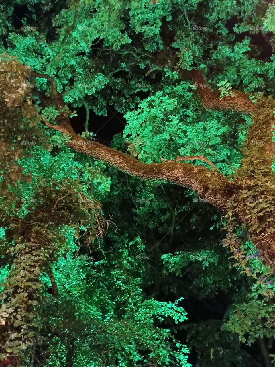 A wonderful combination