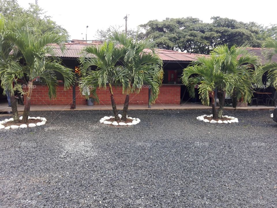 Restaurante palms