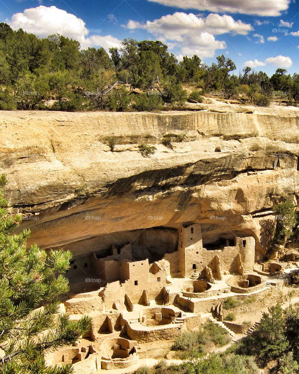 Mesa Verde Cliff Dwellings