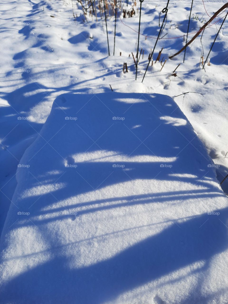 studium of snow on a sunny day with deep blue shadows