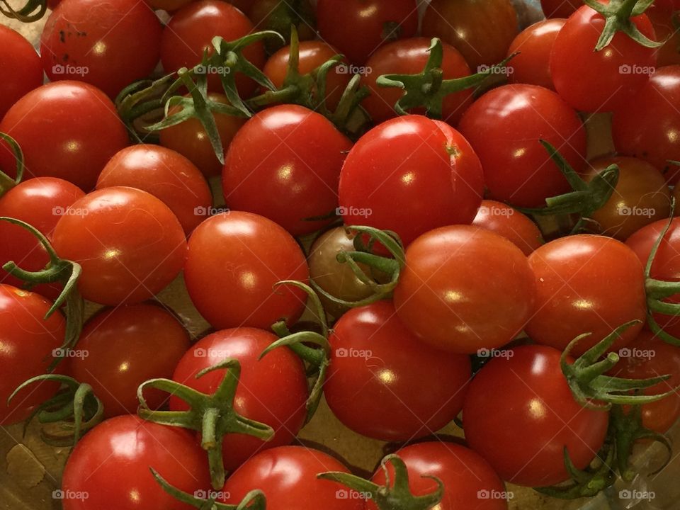 Tomato 