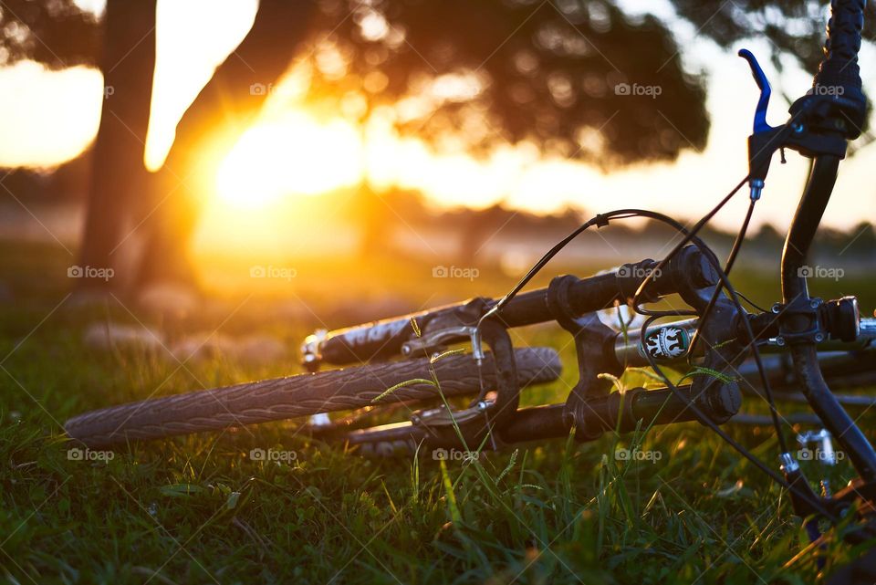 Sunset bike