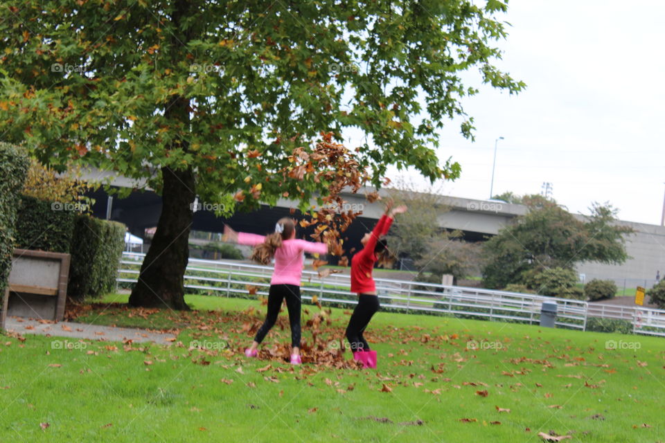 Tree, Park, Leisure, People, Outdoors