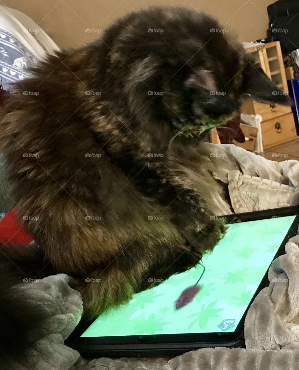 What the heck is that !!!!