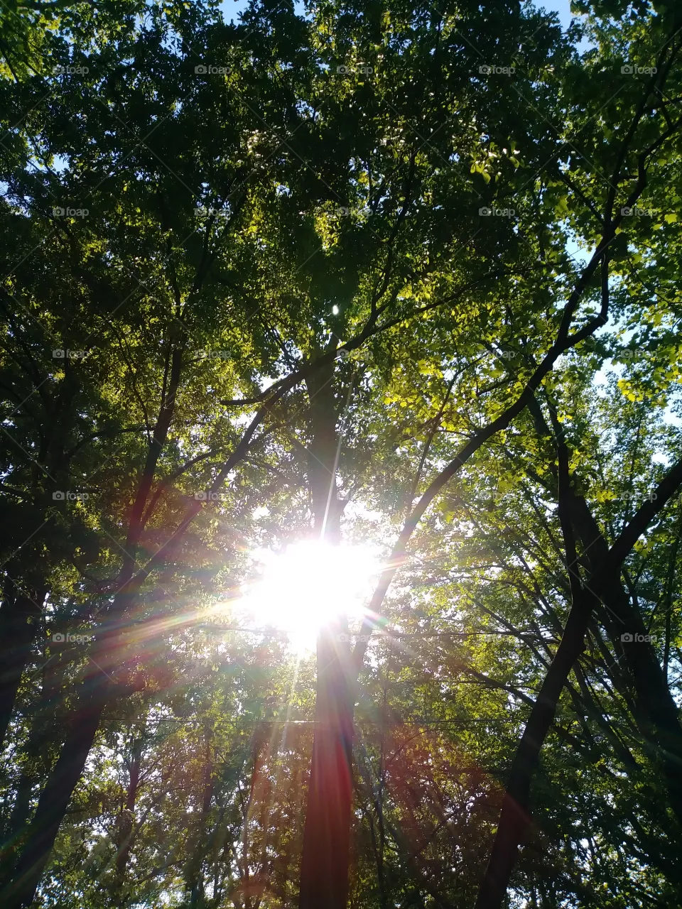 outdoors