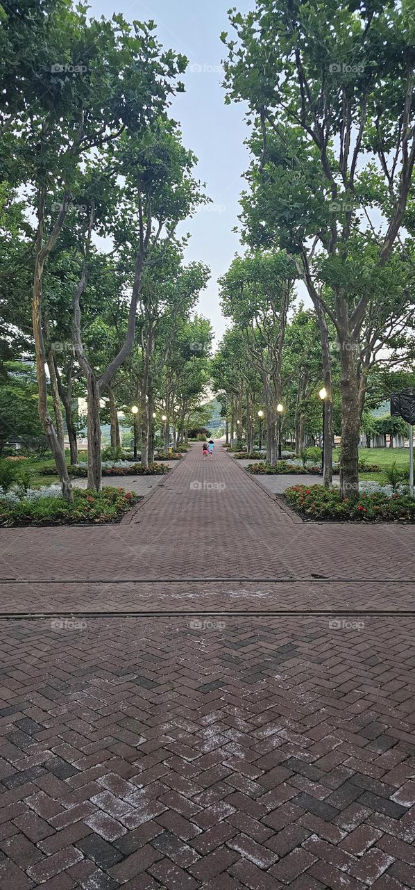 corning market street