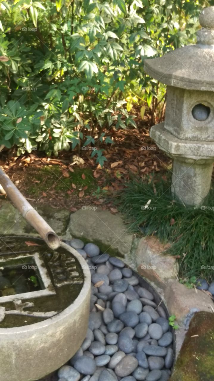 bamboo and stone fountain in a garden