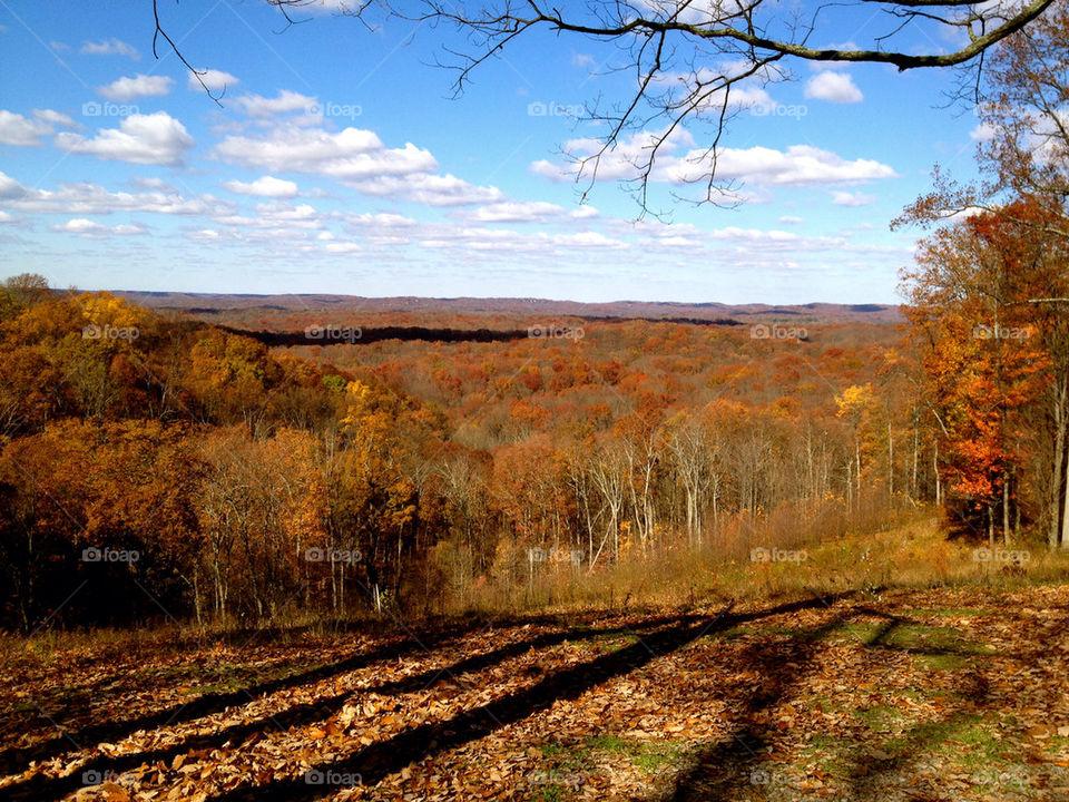 Brown COUNTY LANDSCAPE