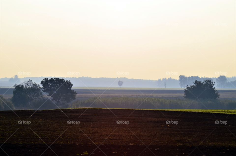 Morning in the countryside