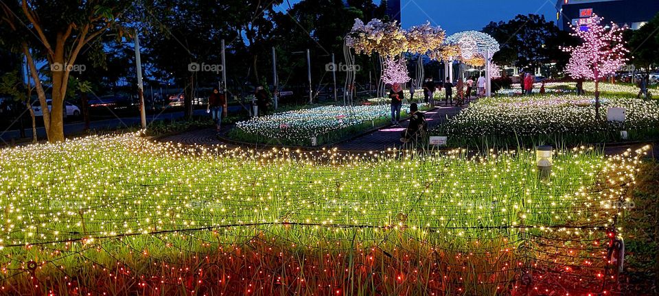 Sakura Illumination Park is a cherry blossom park designed by using thousands of beautiful lights that spread out in a park at AEON Mall BSD