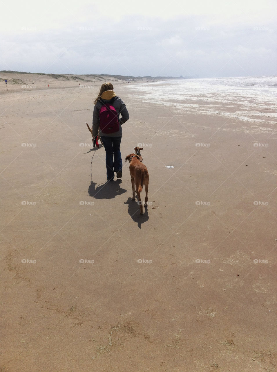 WALKING THE FOGS ON THE BEACH