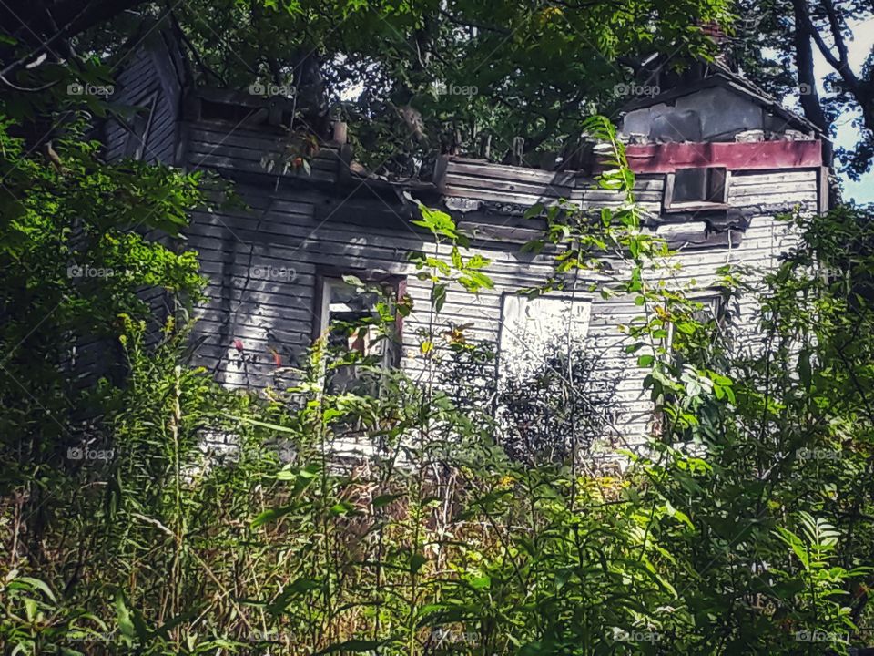 abandoned home