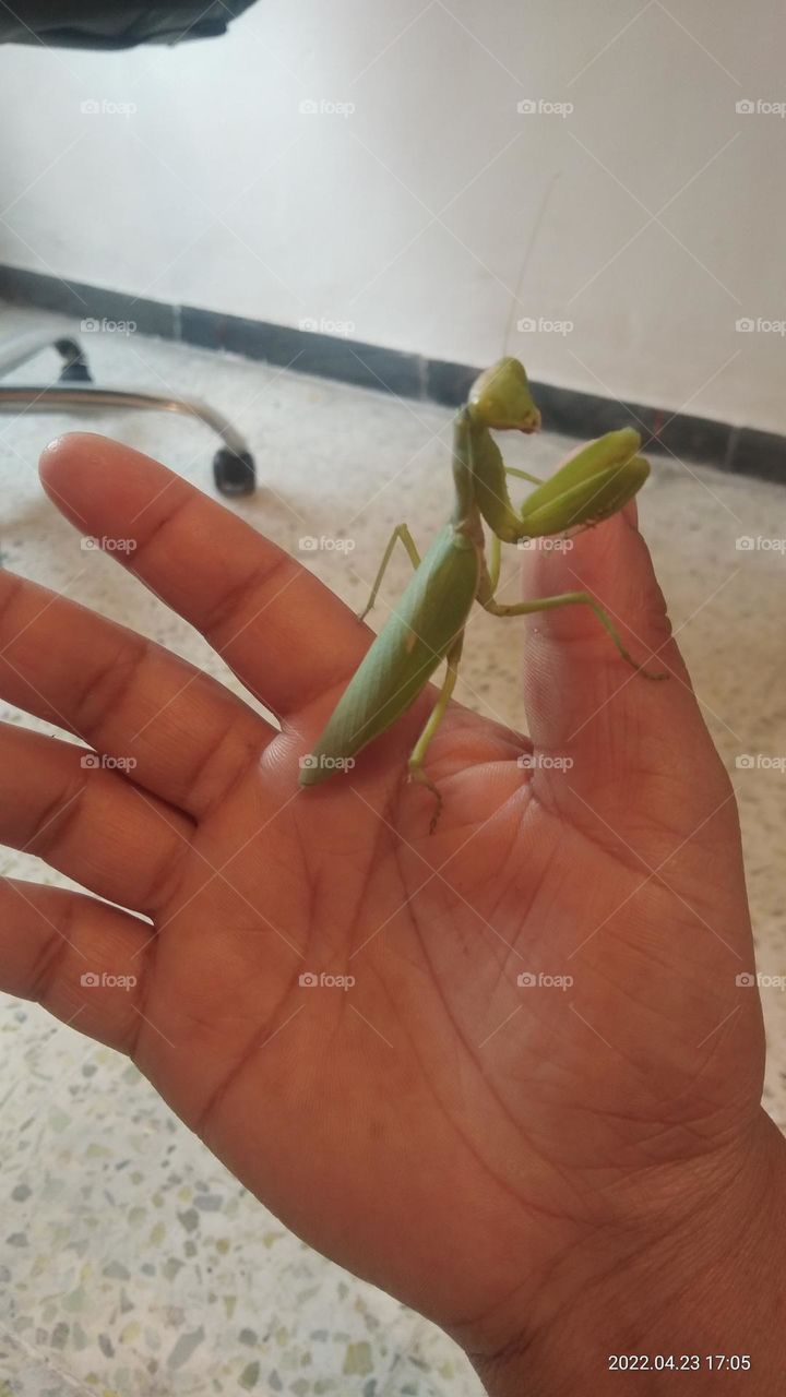 Money is coming soon