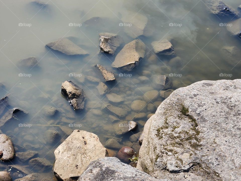 murky water and rocks in Oregon wetlands