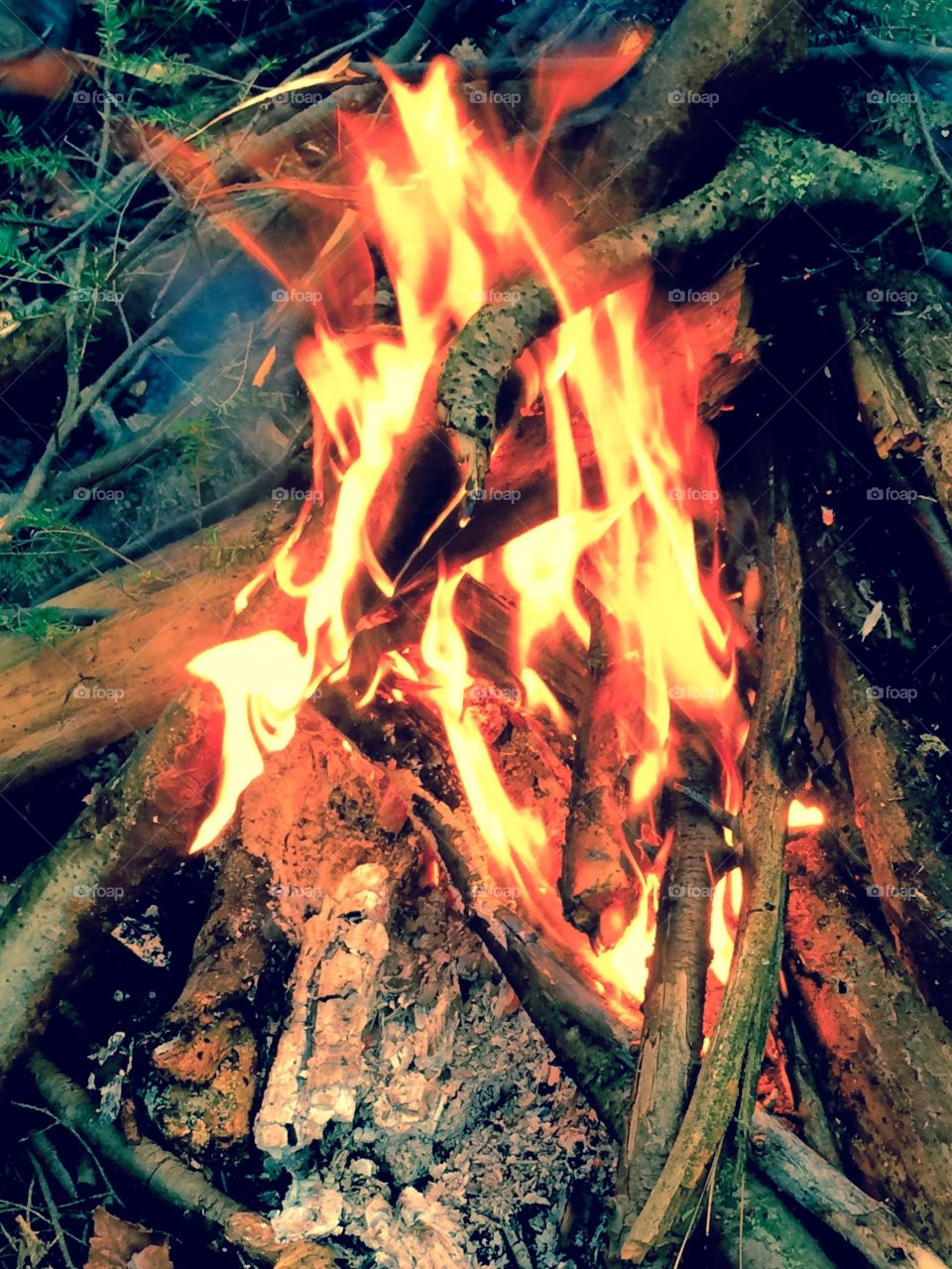 Fire 🔥🔥🔥