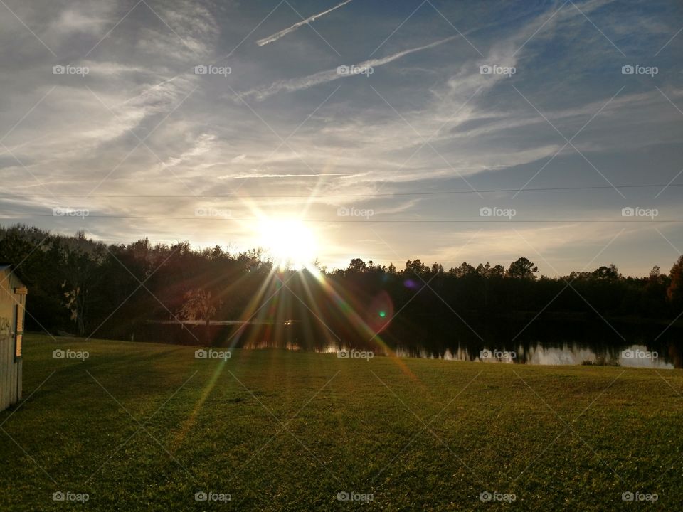 sunset, tree, water, pond, outside, beam's