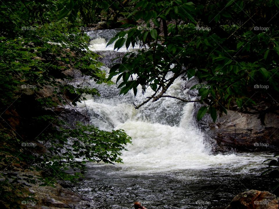 Bust your but falls in North Carolina