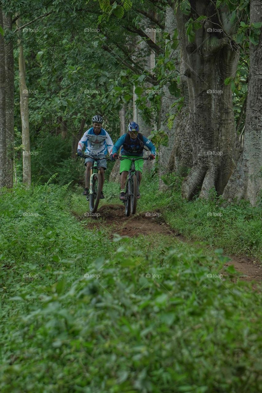 Two cyclists passing through a forest road