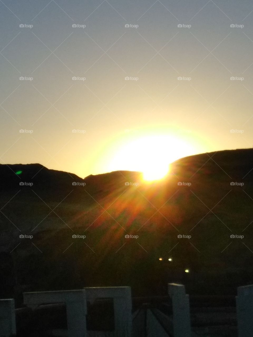 Roller Coaster Scenery