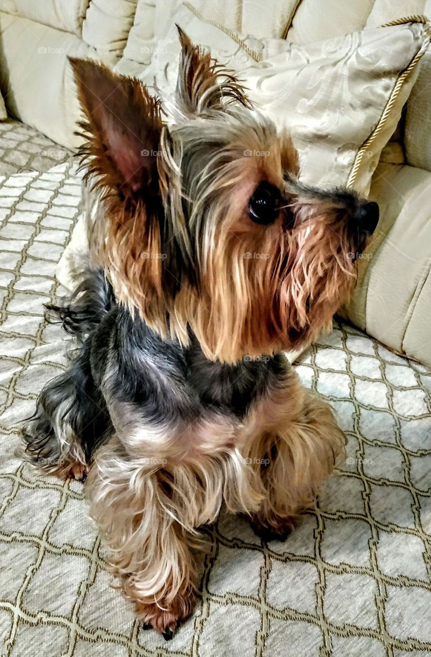 Devotional gaze. September, 2019, Yerusalim.