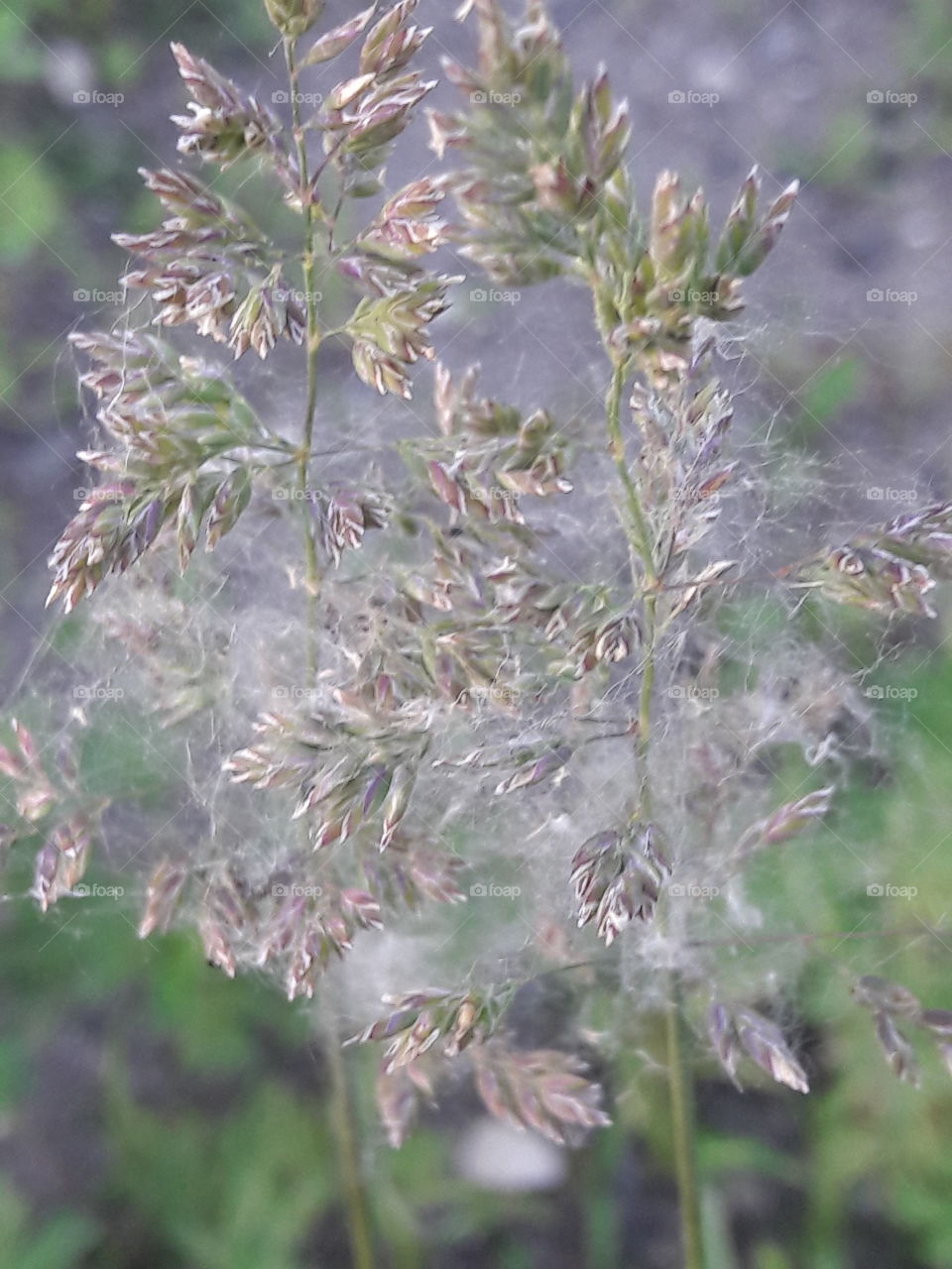 perfect imperfection