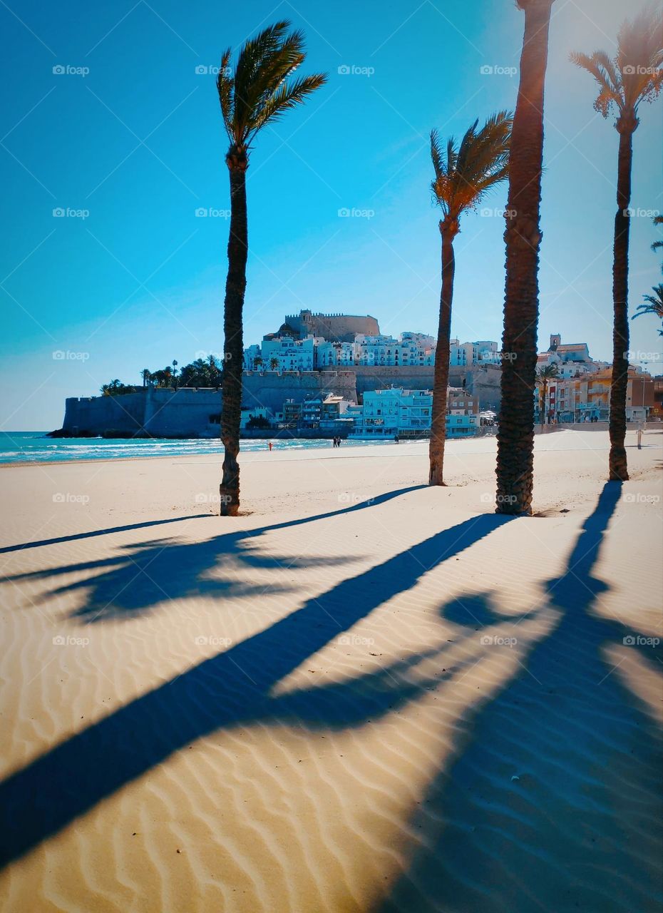 Shadows in the sand.