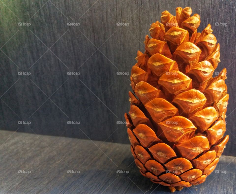 Lovely pine in my house!