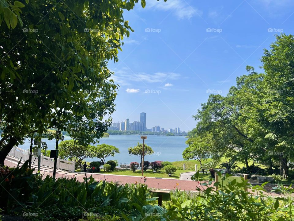 An incredible sunny day