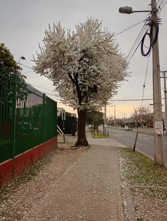 naturaleza
