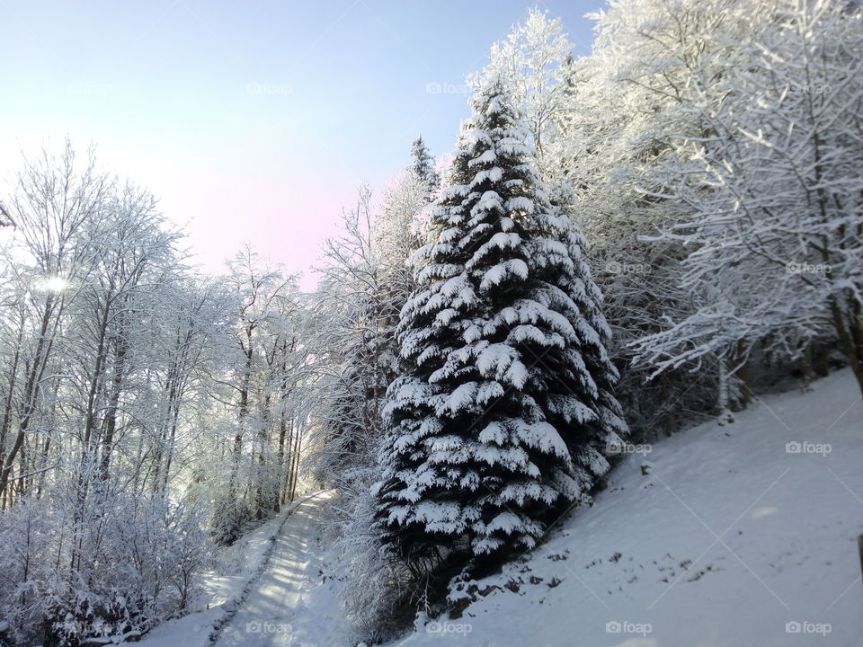 Bad Wildbad in winter
