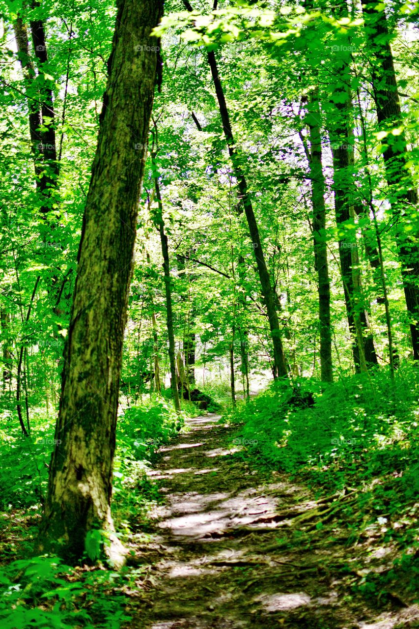 Beautiful hike in summit lake state park in Indiana 