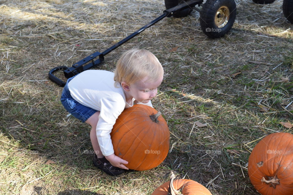 Pumpkin Fun