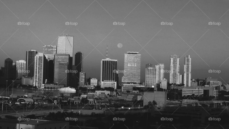 Miami Black and White