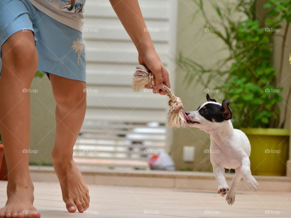 Atividade com seu cãozinho