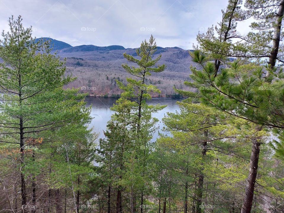 mother  nature diversity