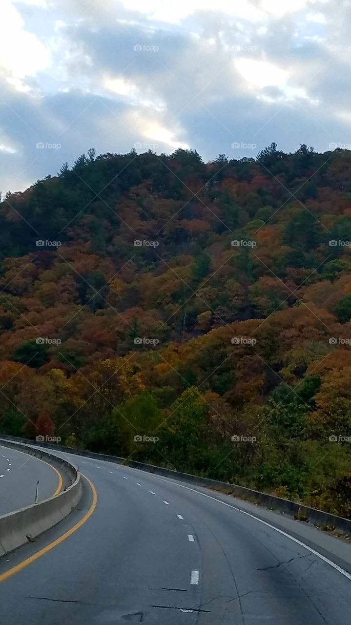 autumn in the Gorge